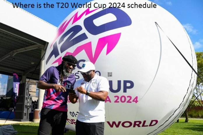 T20 World Cup